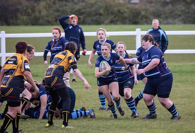 核心球员状 核心球员状