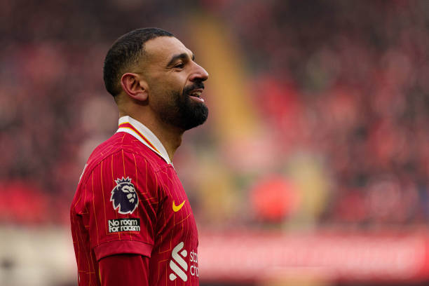 适合搜索引 适合搜索引