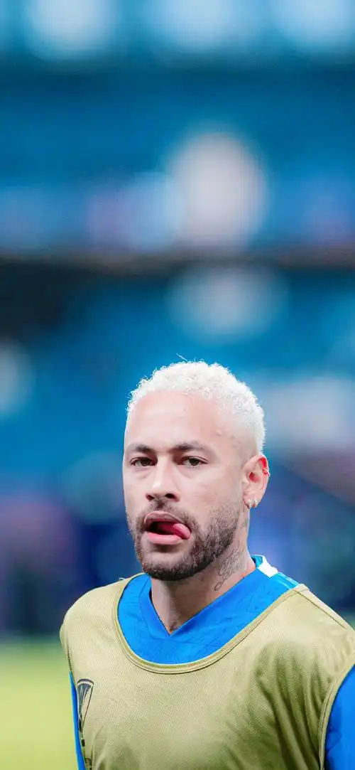 动足球场地 动足球场地